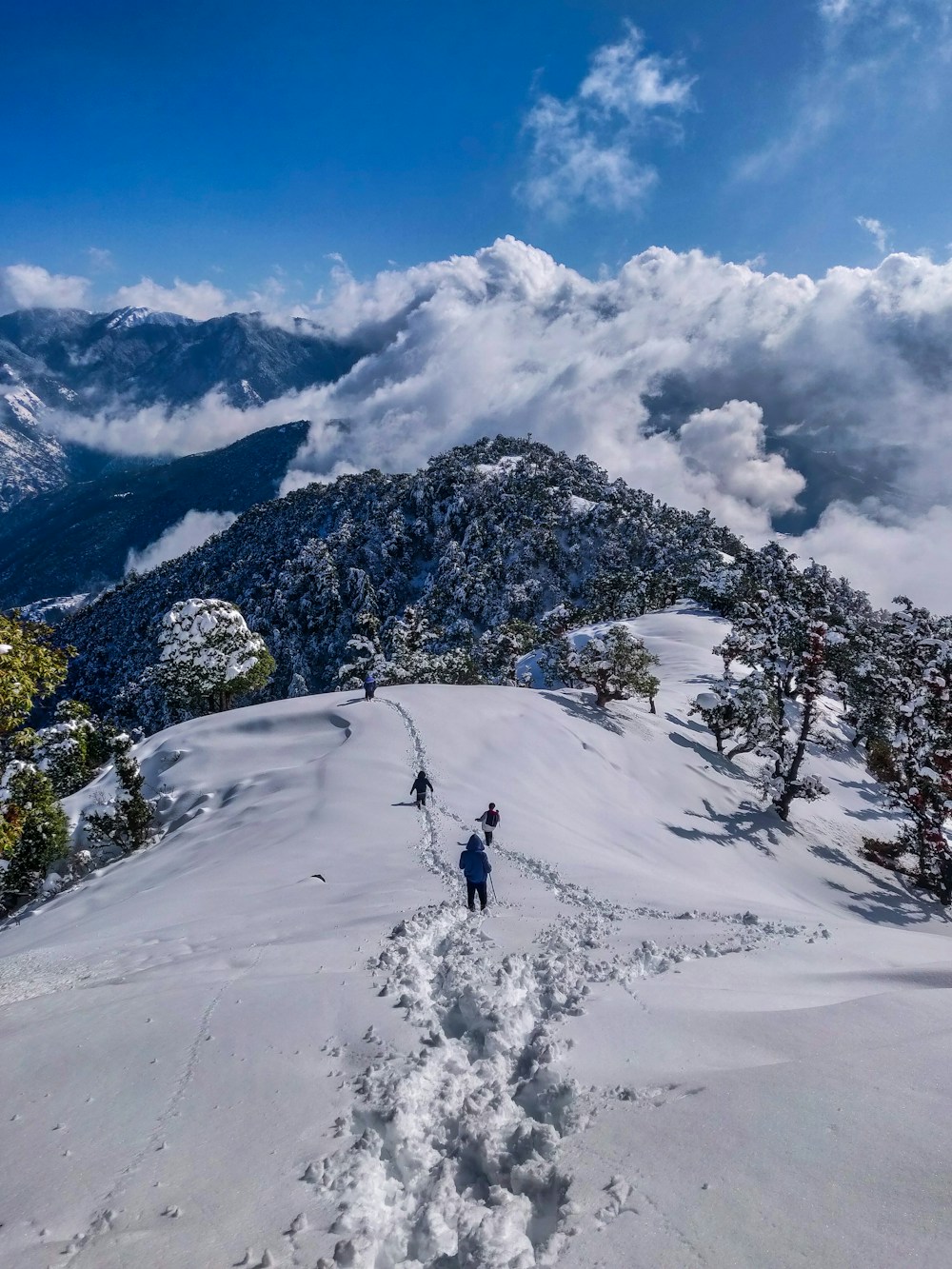 Himachal Pradesh, India